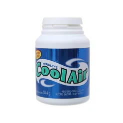 CoolAir Mint Flavored Chewing Gum 58.4g